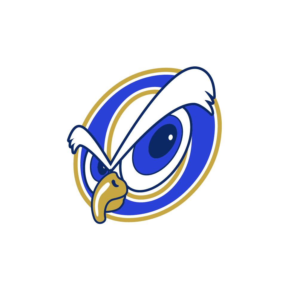 AIP Fighting Owls