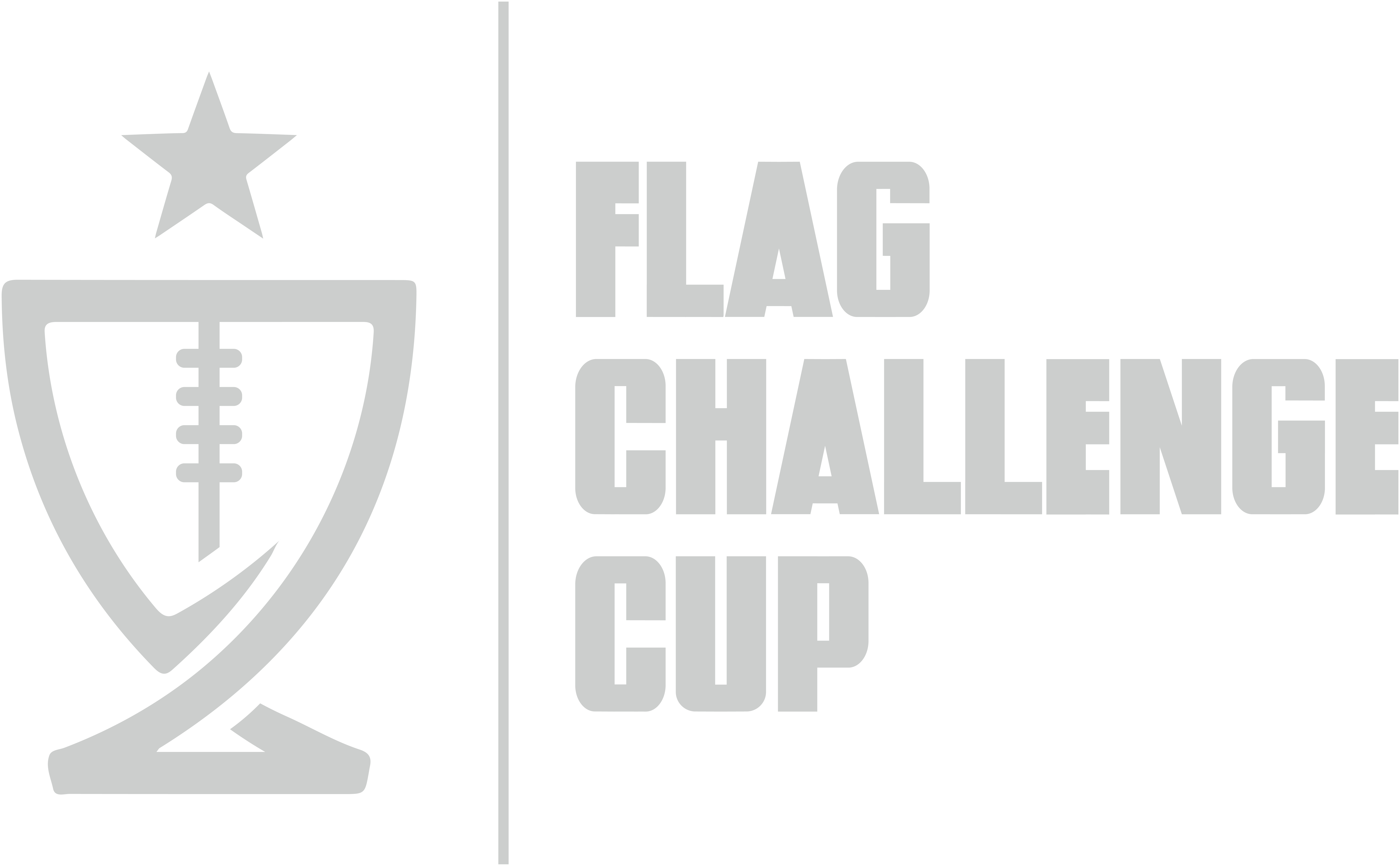 Flag Challenge Cup